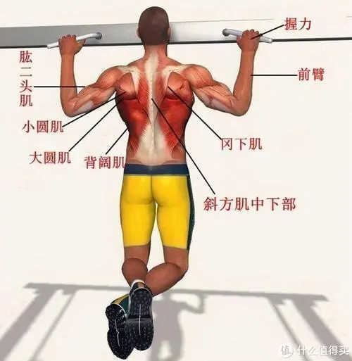韶关绿化工程合同书范本